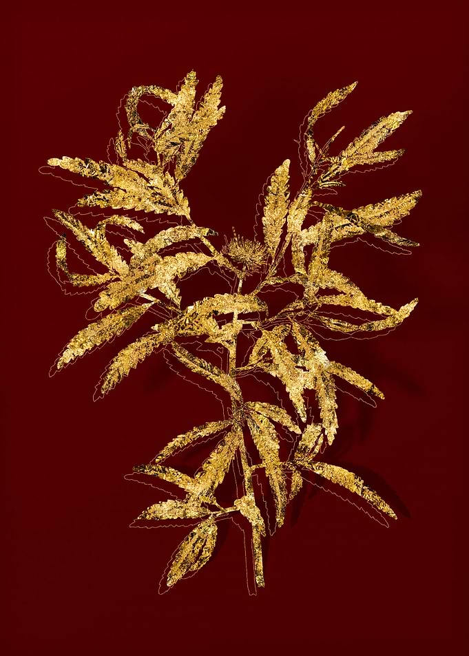 Gold Botanical on Red