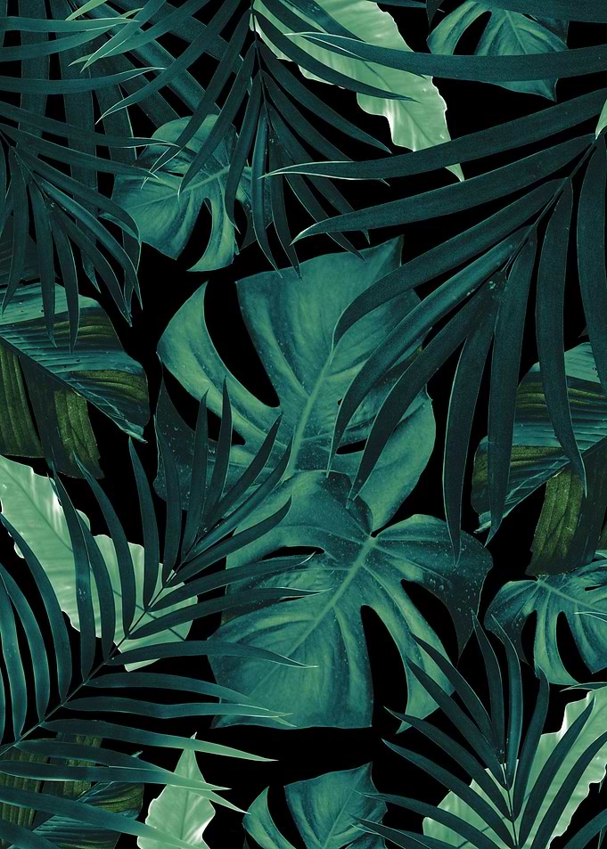 Tropical Jungle Night 1