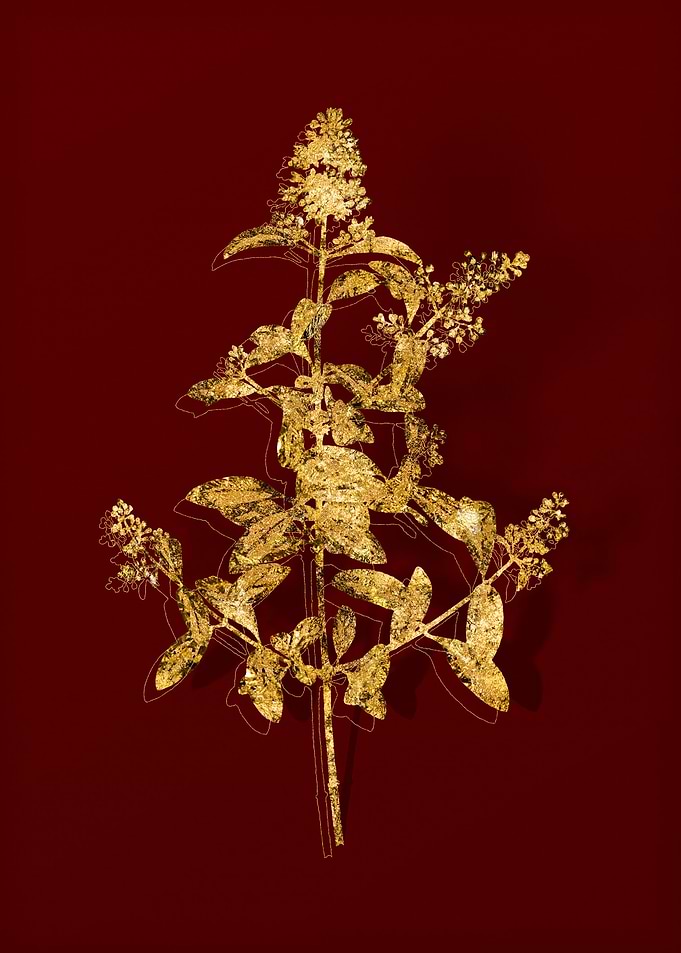 Gold Botanical on Red