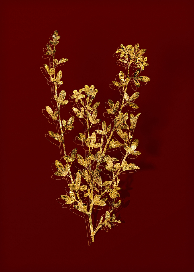 Gold Botanical on Red