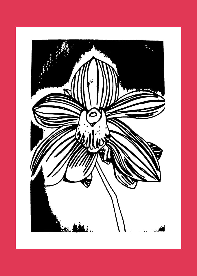 BLOOMING