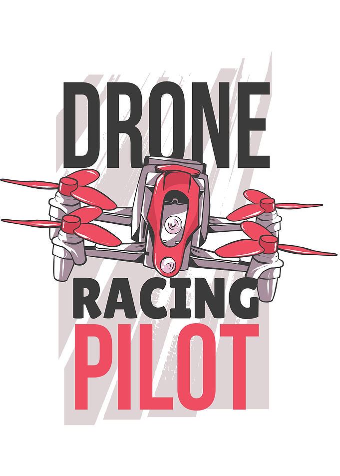 Drone Racing Pilot