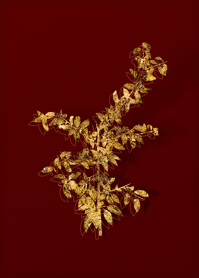 Gold Botanical on Red