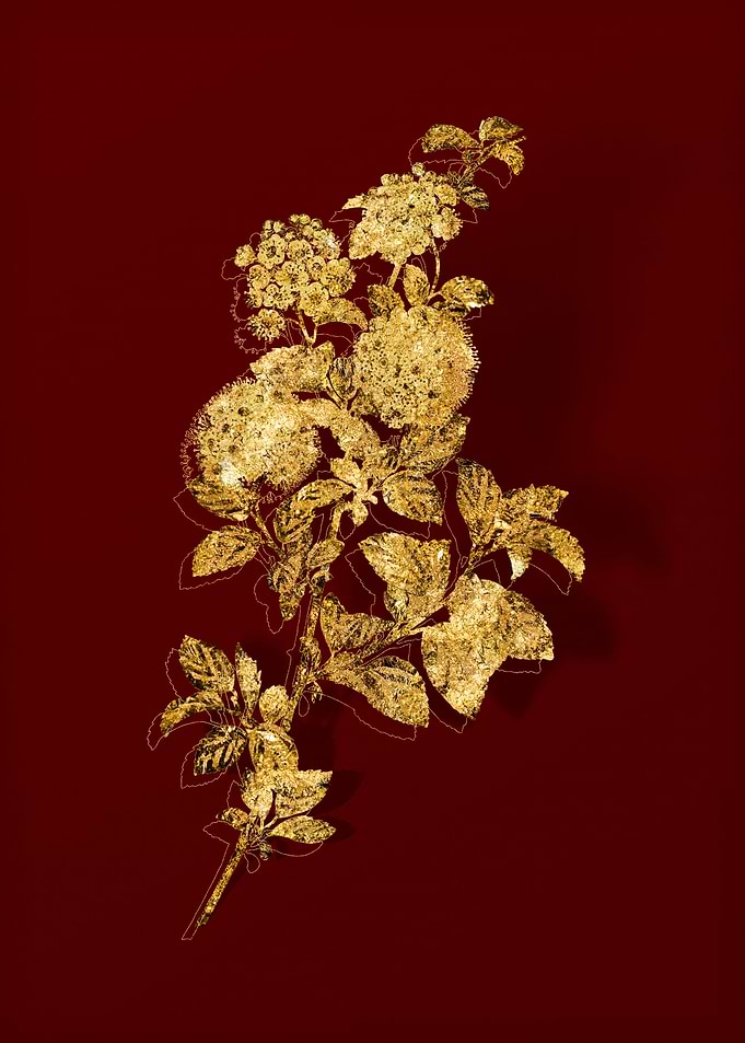Gold Flora on Red