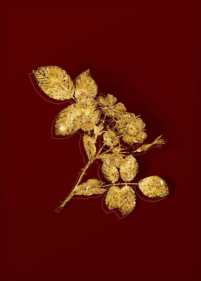 Gold Botanical on Red