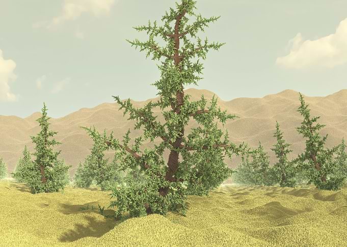 tree5