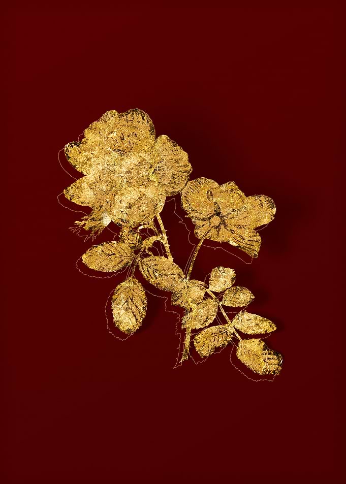 Gold Botanical on Red