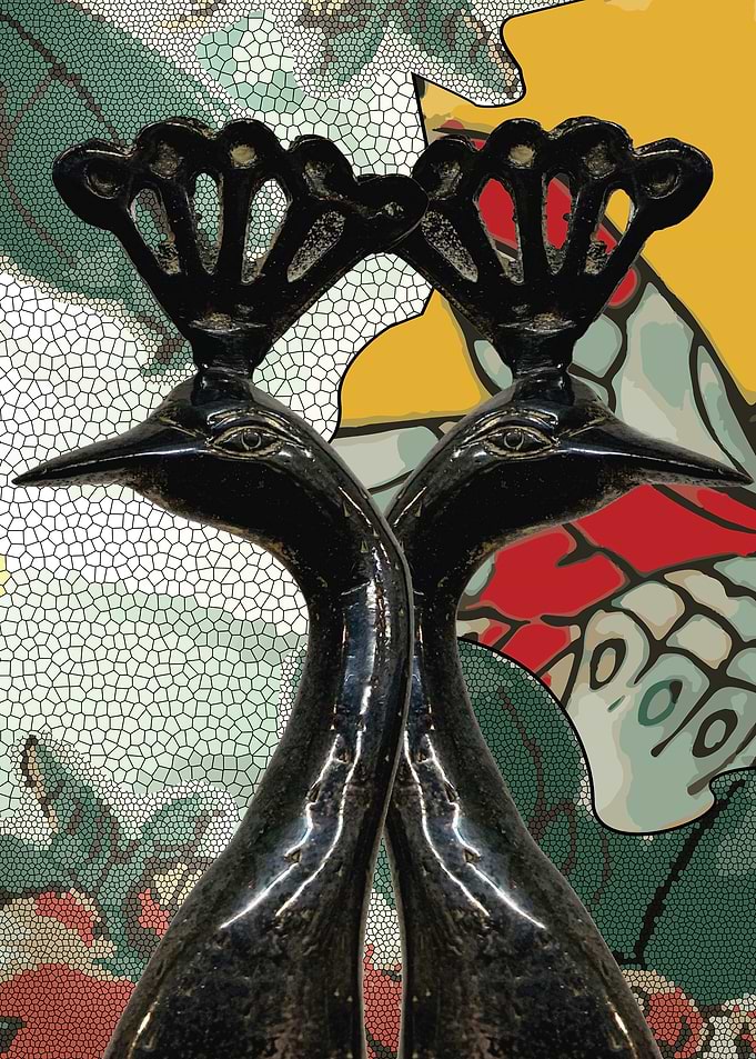 Peacock