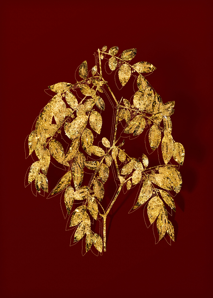 Gold Flora on Red