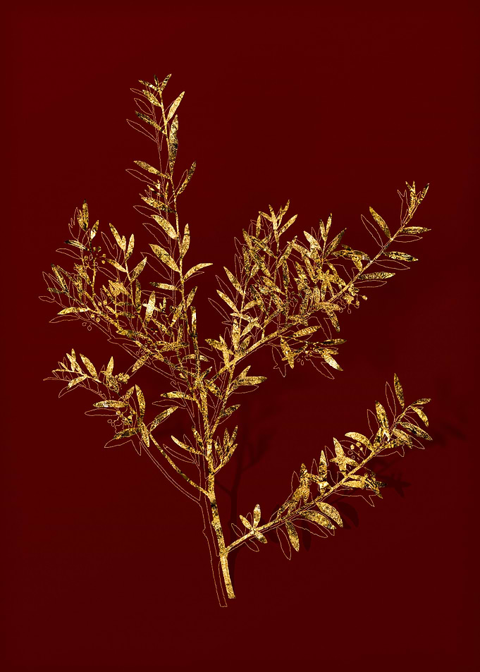 Gold Botanical on Red