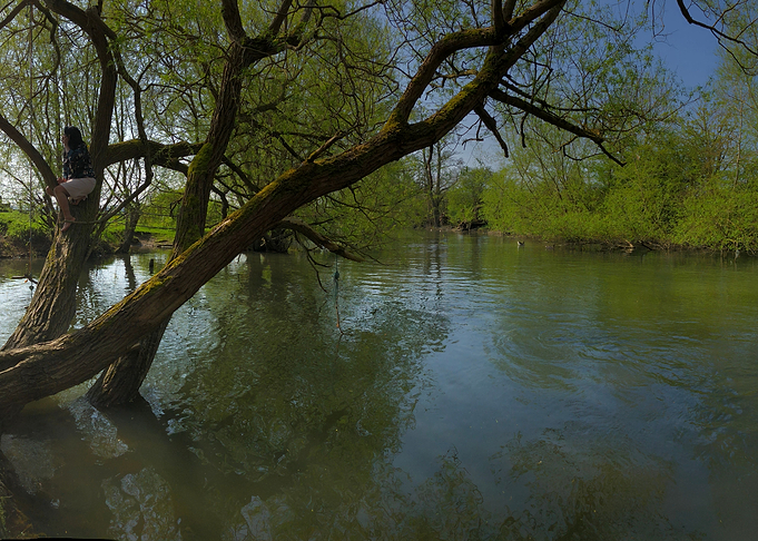 Hanging Tree