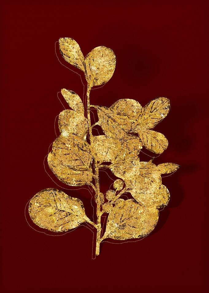 Gold Flora on Red