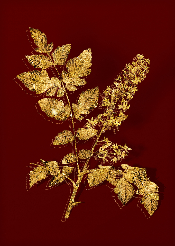 Gold Flora on Red