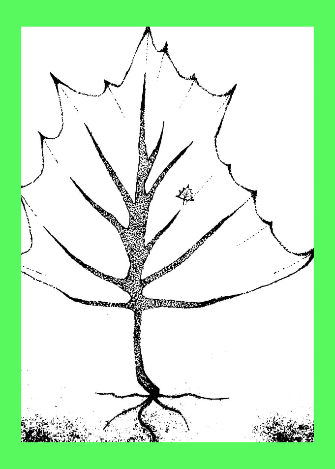 TREE LEAF