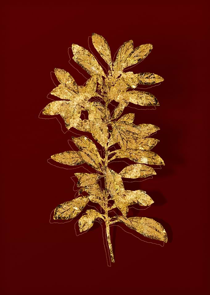 Gold Flora on Red