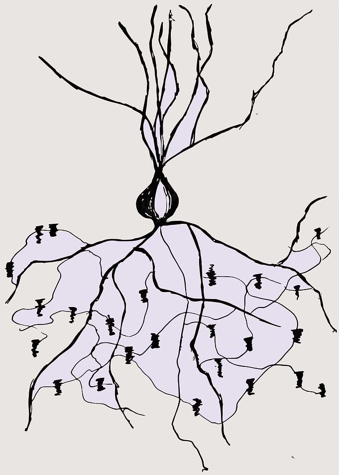 Expressive Chandelier