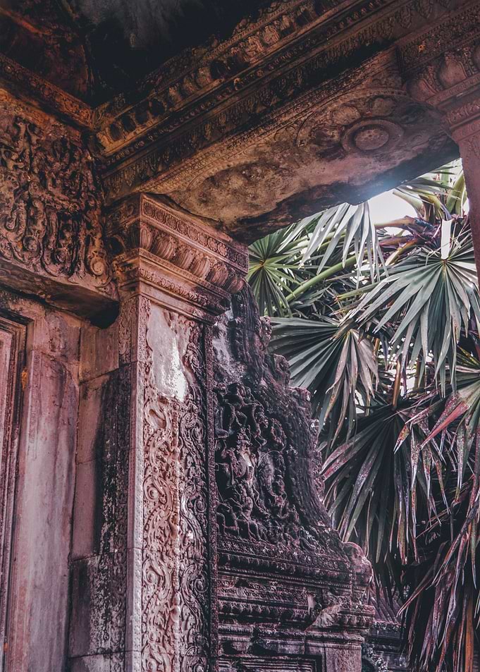 Angkor Wat Tropical