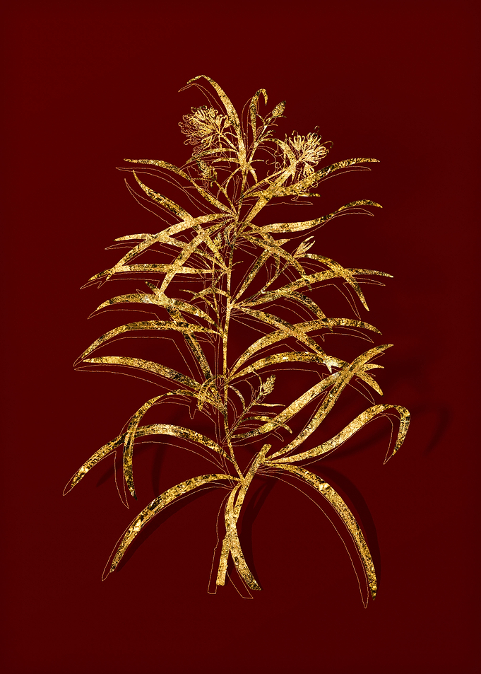 Gold Botanical on Red
