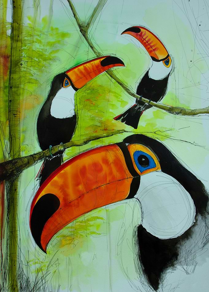 Toucans in forest