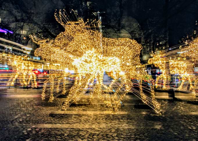 Light deers