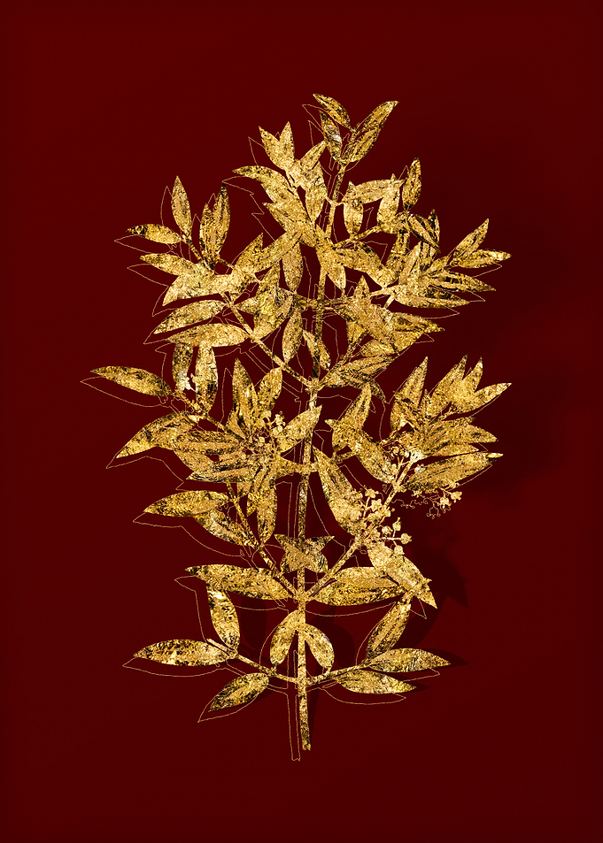 Gold Botanical on Red