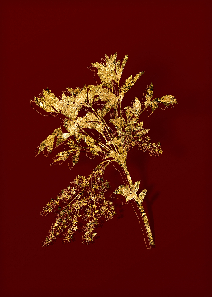 Gold Botanical on Red