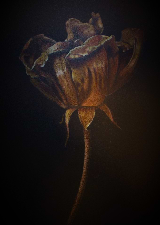Seed two