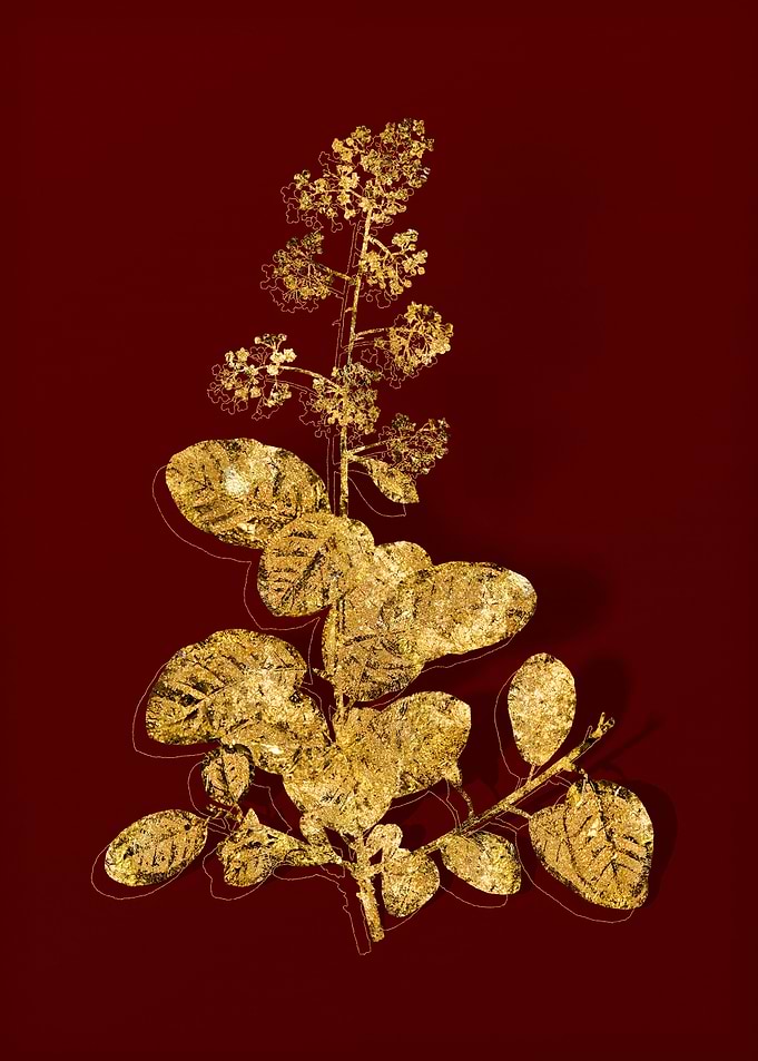 Gold Flora on Red
