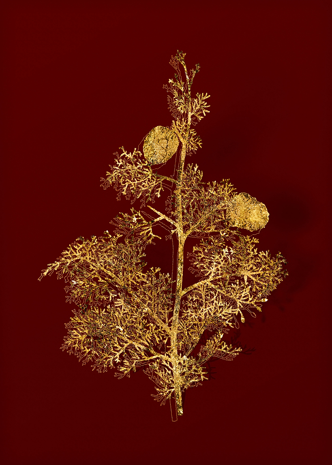 Gold Botanical on Red