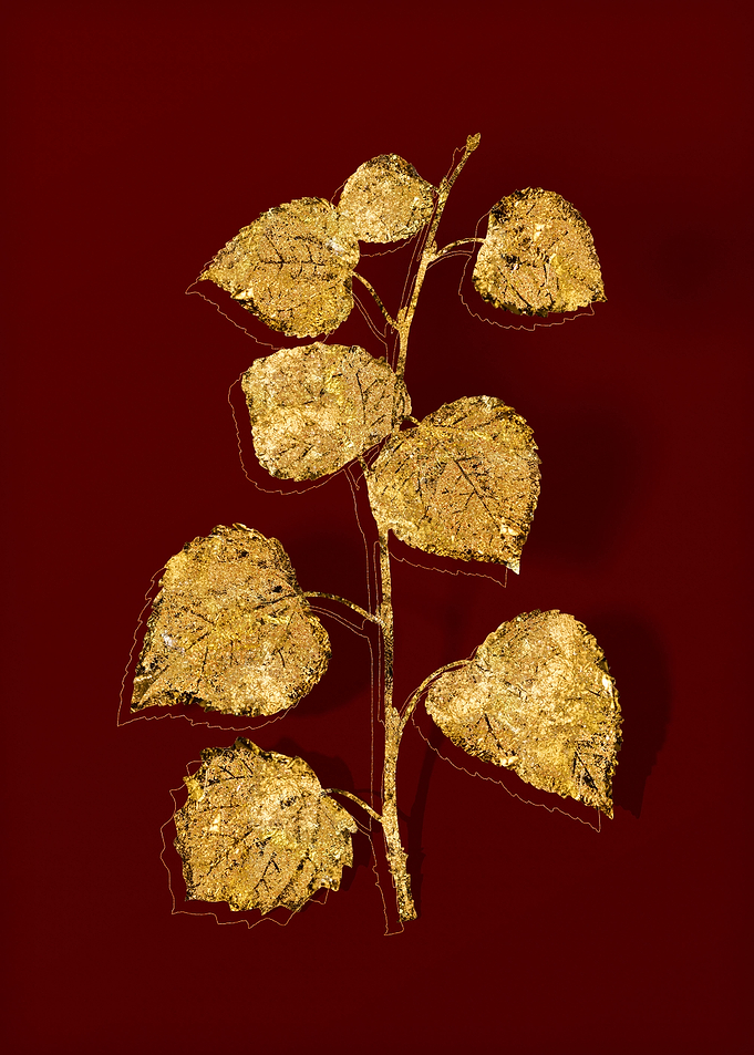Gold Botanical on Red