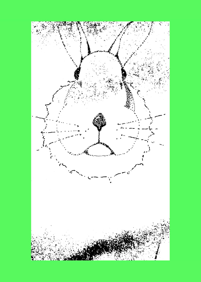 BENJAMIN BUNNY