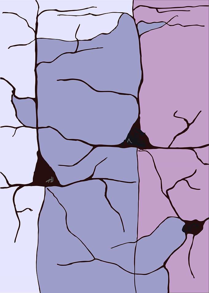 Cortex Connect