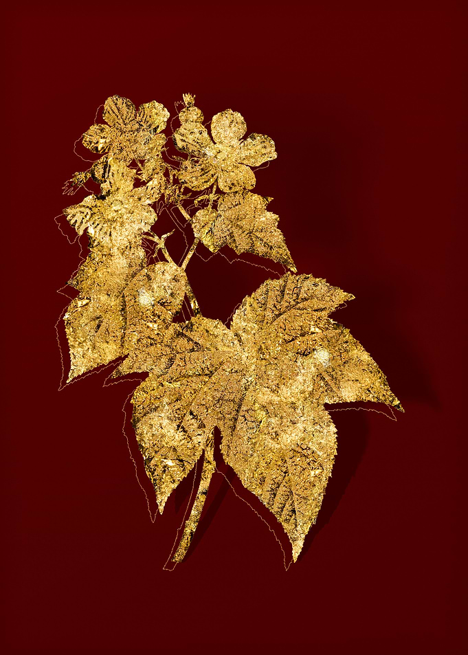 Gold Botanical on Red