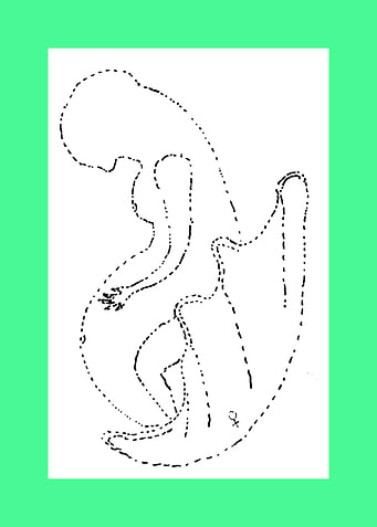 WOMAN AND BIRTH
