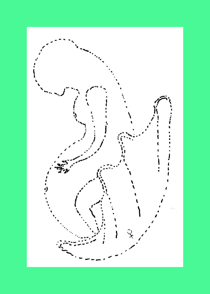 WOMAN AND BIRTH