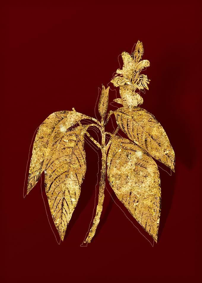 Gold Botanical on Red