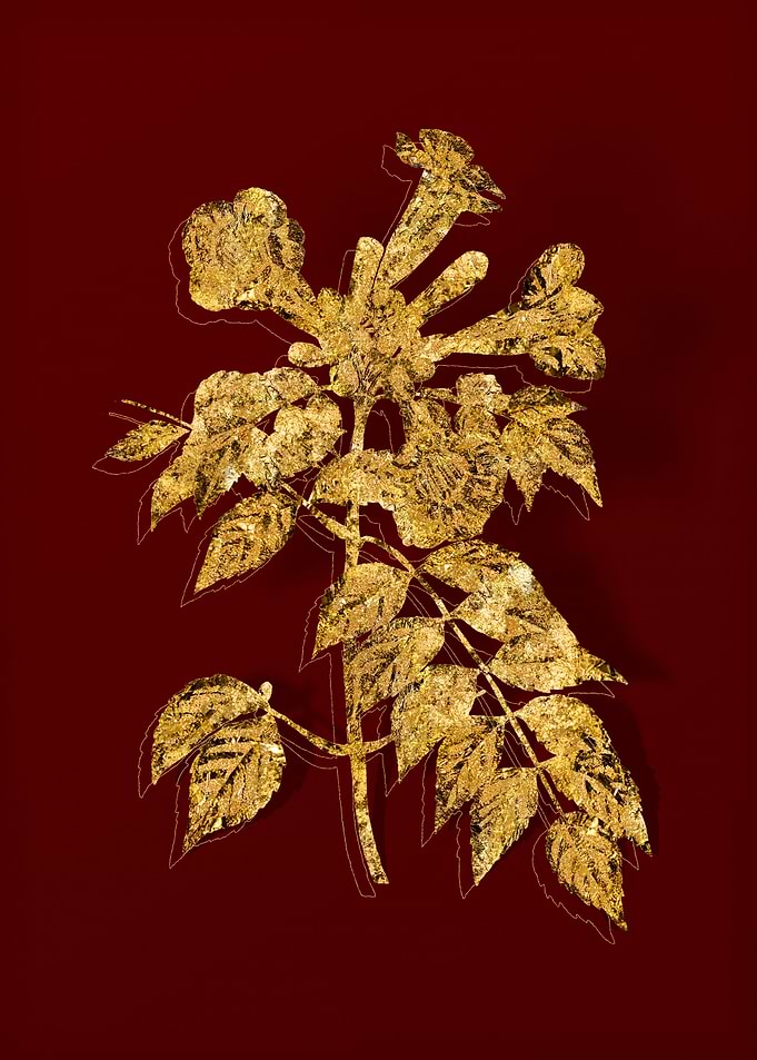 Gold Botanical on Red
