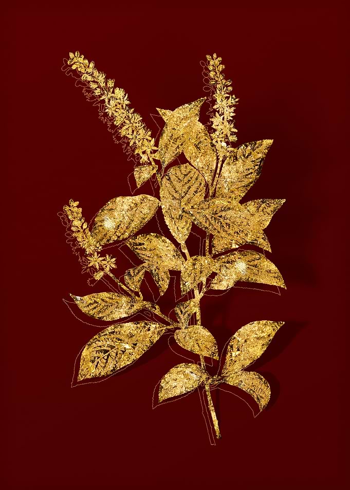 Gold Botanical on Red