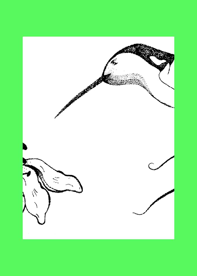 HUMMINGBIRD