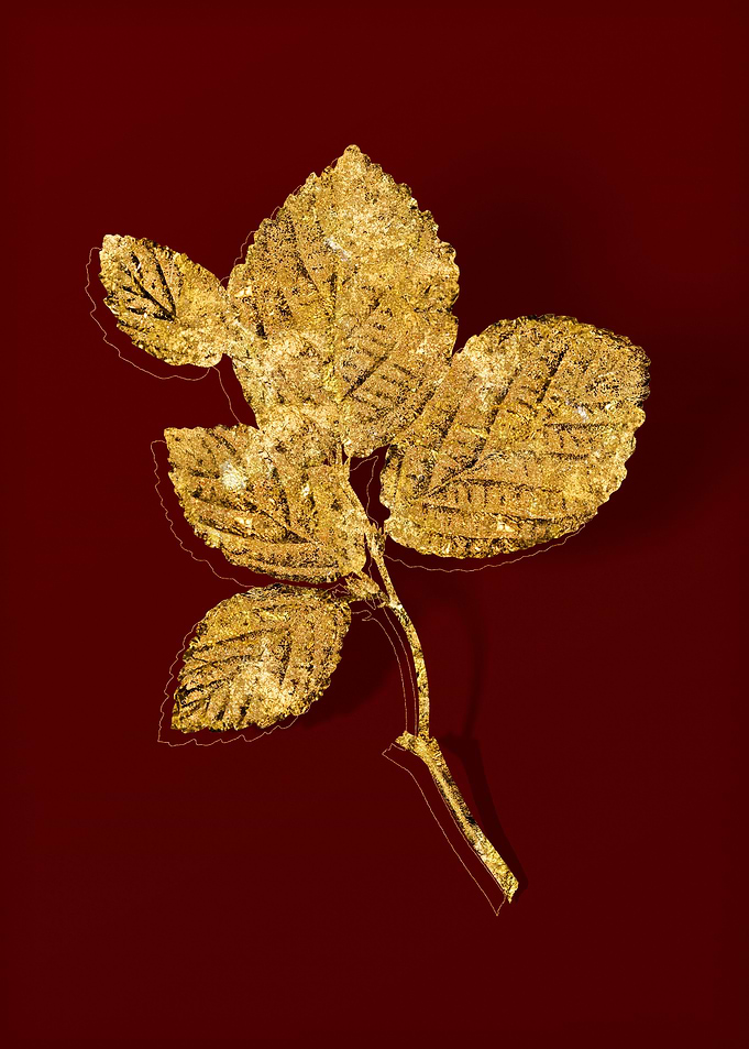 Gold Botanical on Red