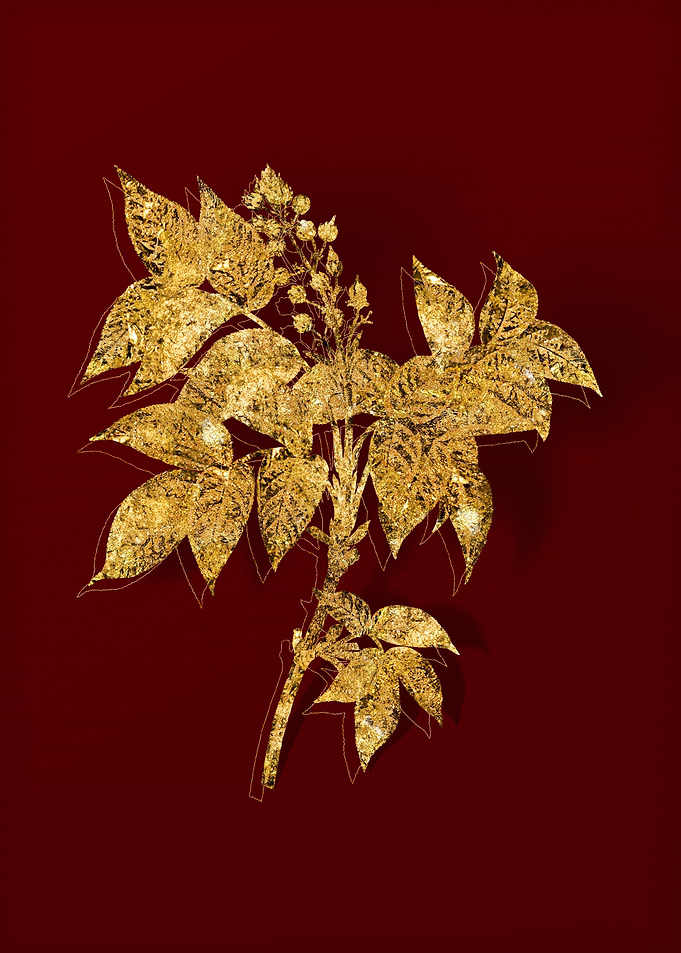 Gold Flora on Red
