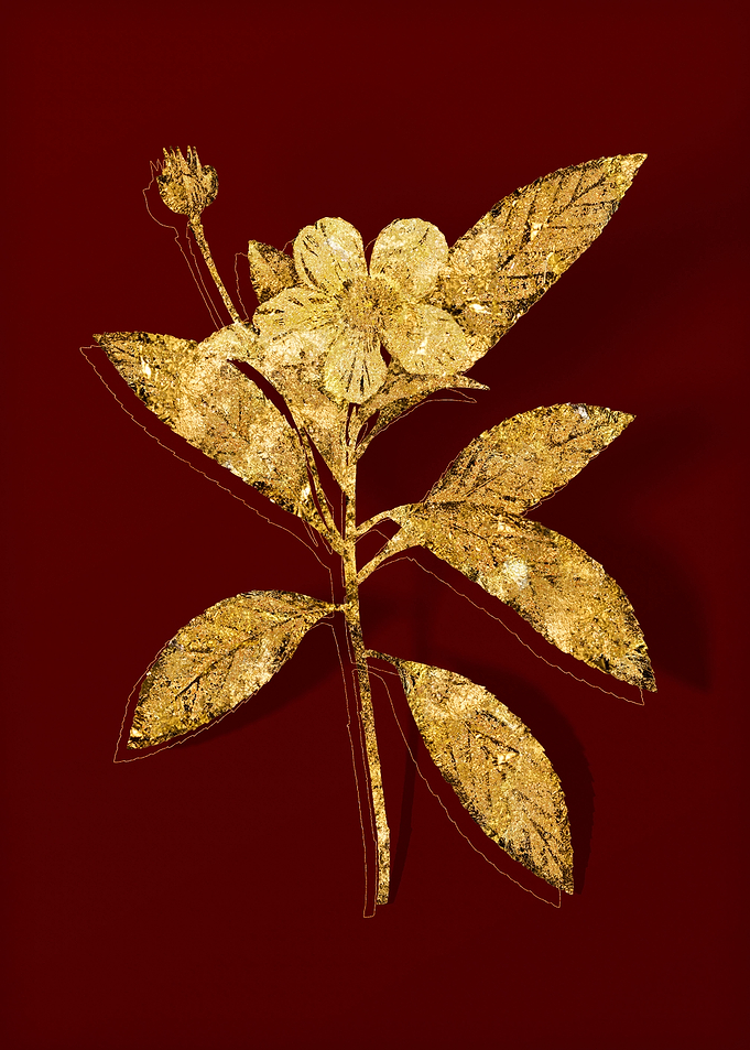 Gold Flora on Red