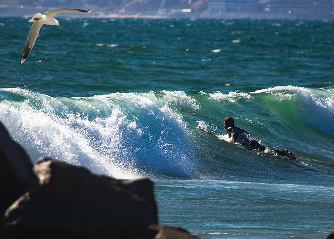 Surfing