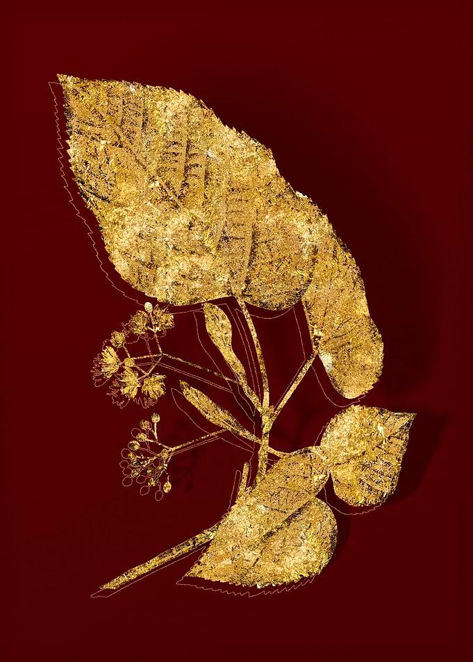 Gold Flora on Red
