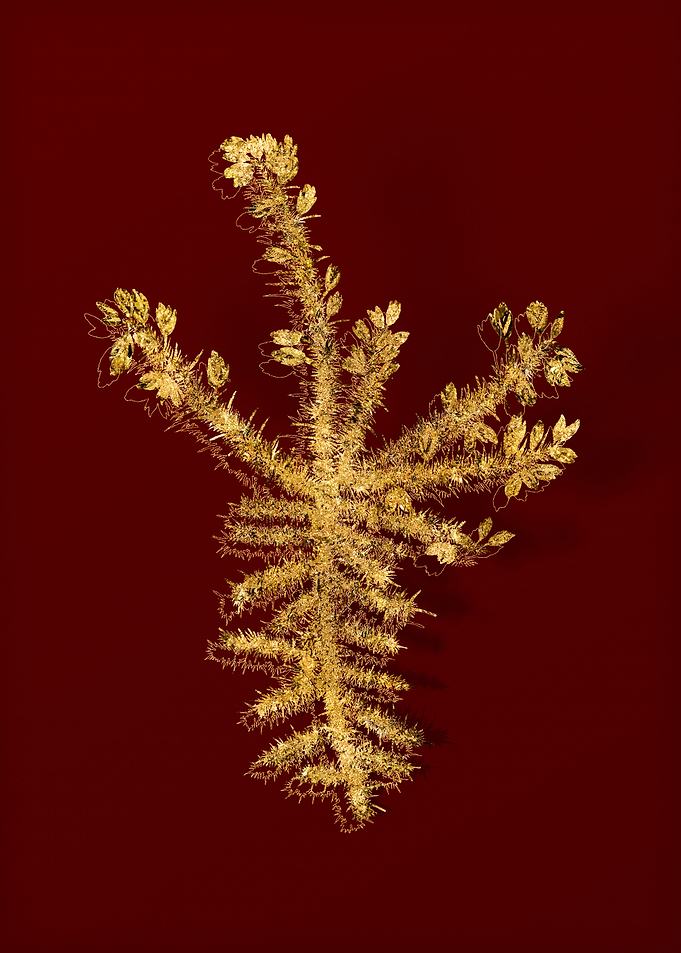 Gold Botanical on Red