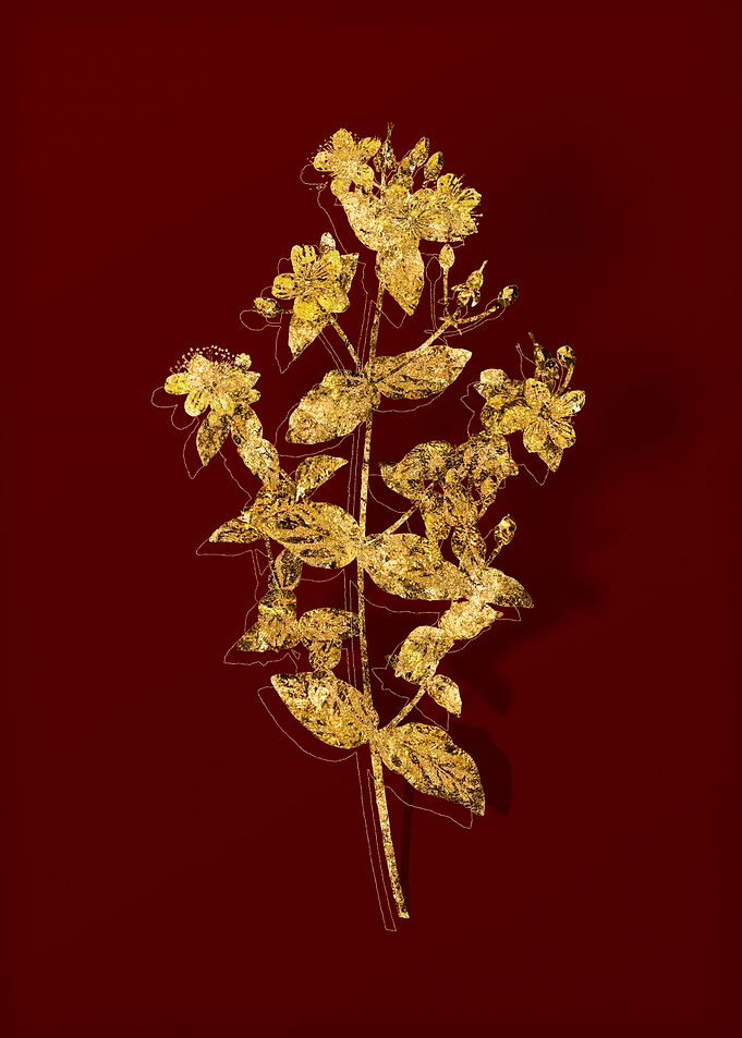 Gold Botanical on Red