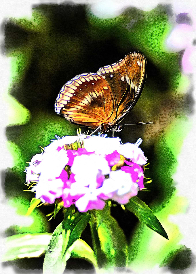 Flutter On By