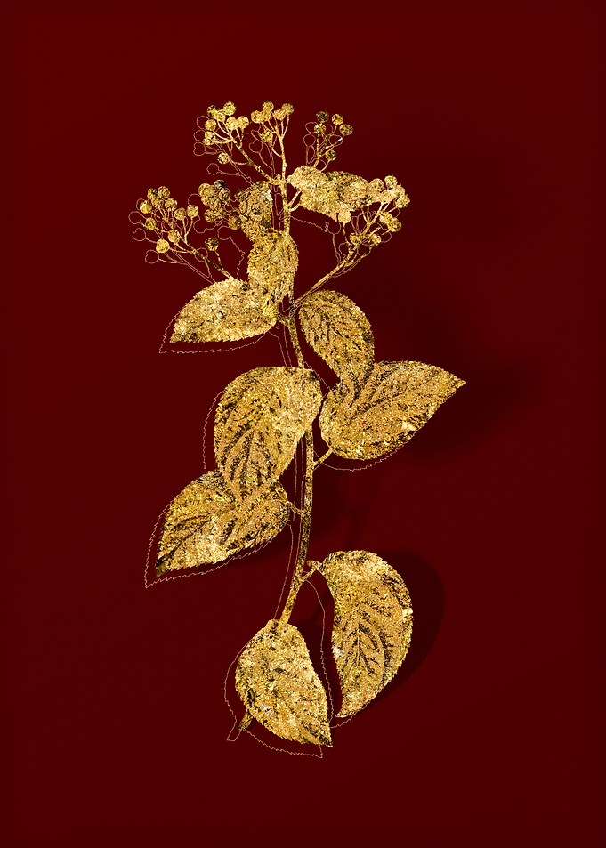 Gold Botanical on Red