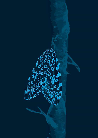 Blue Moth