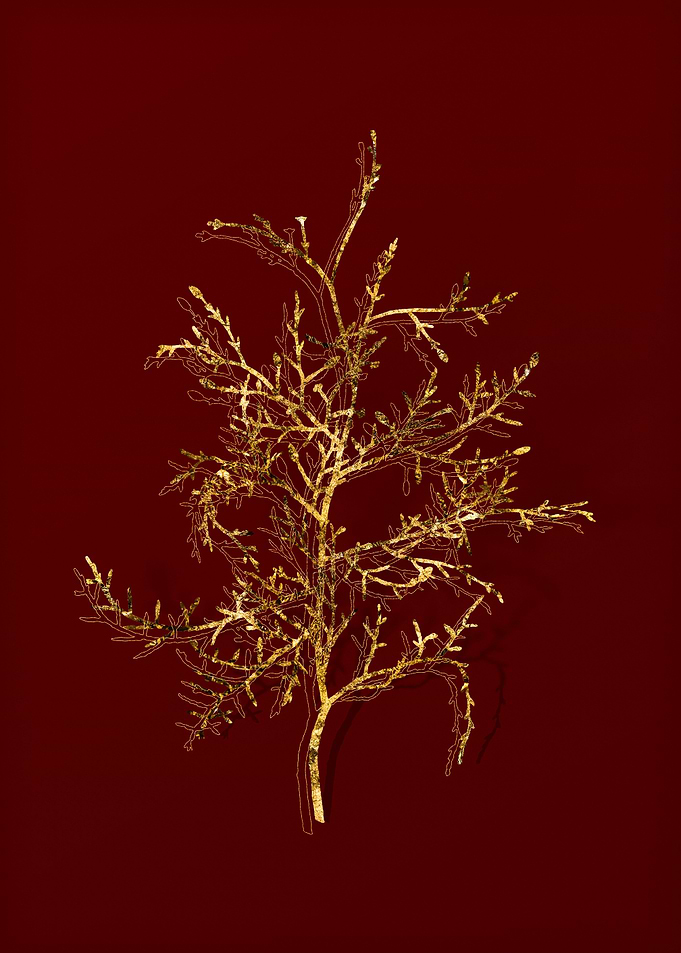 Gold Botanical on Red